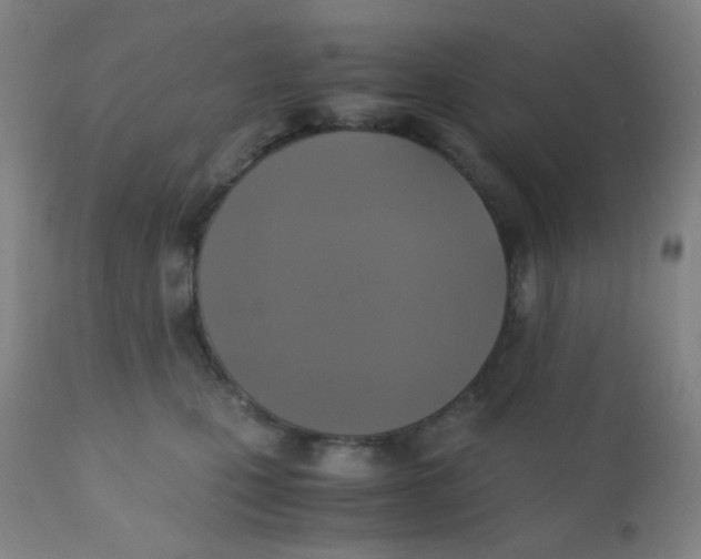 X0000110730471200907022114