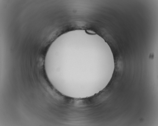 X0000110730472200907022114