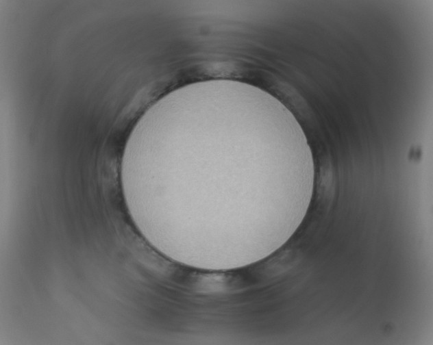 X0000110730473200907022114