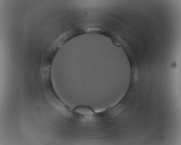 X0000110730475200907022114