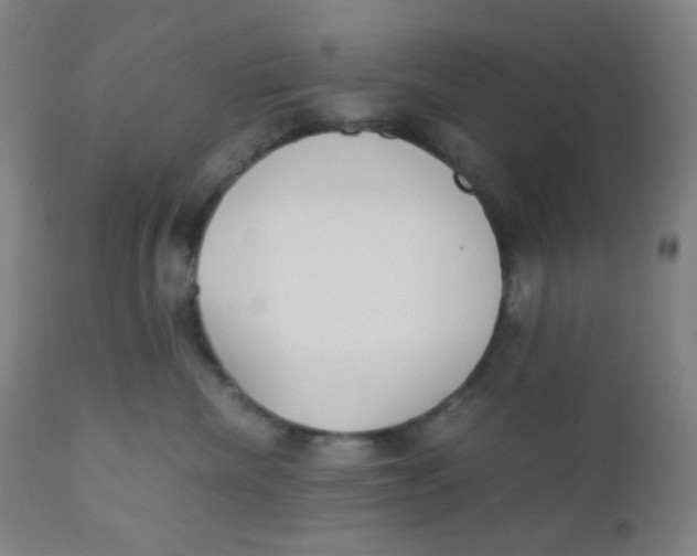 X0000110730476200907022114