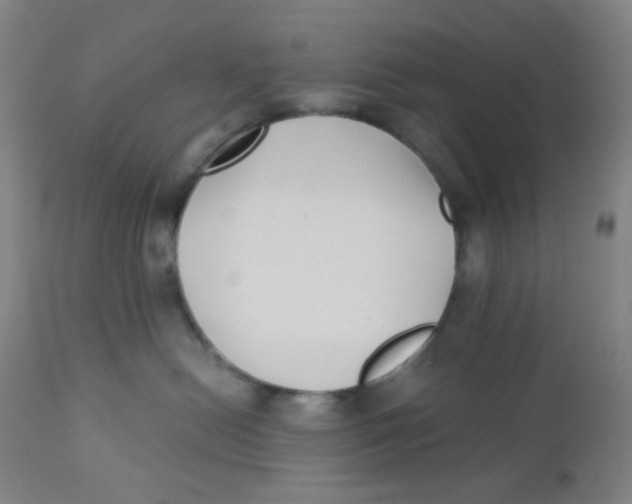 X0000110730478200907022114