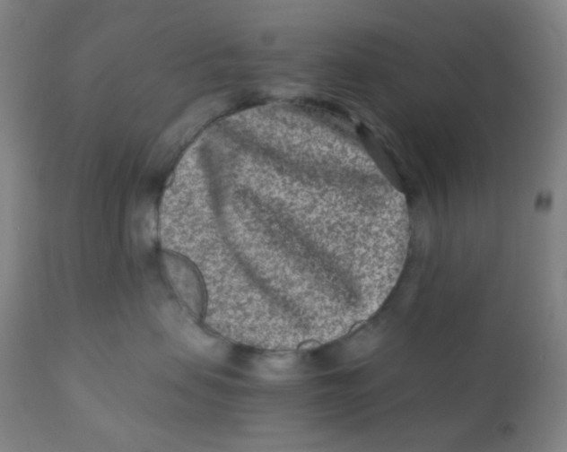 X0000110730479200907022114