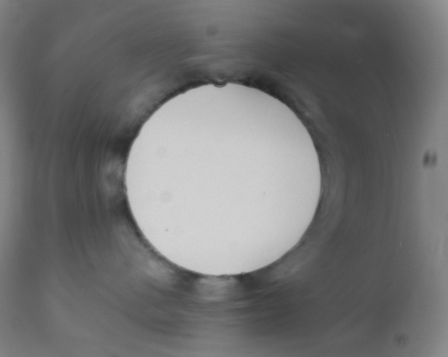 X0000110730480200907022114