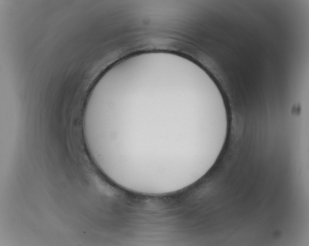 X0000110730481200907022113