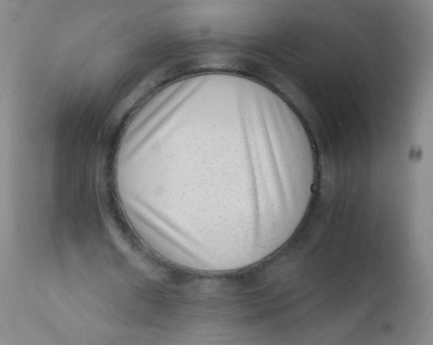 X0000110730482200907022113