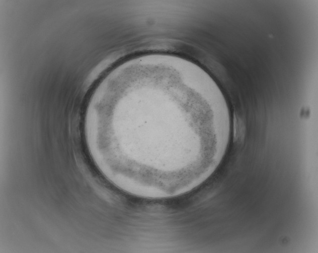 X0000110730483200907022113