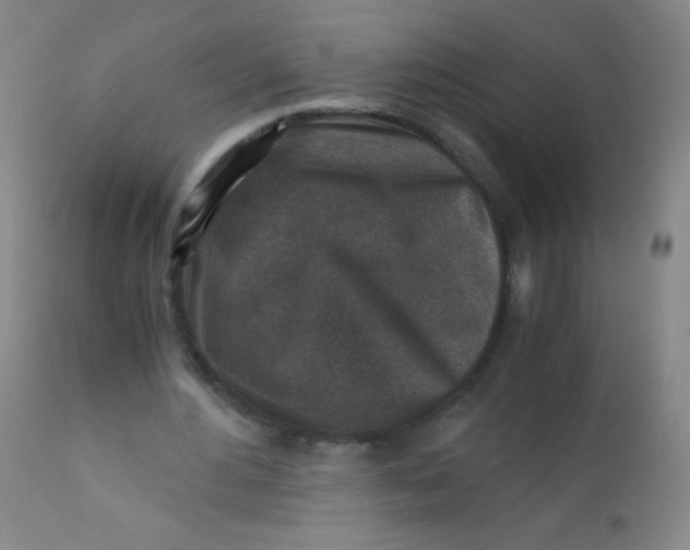 X0000110730484200907022113