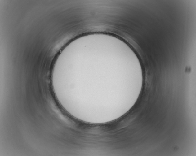 X0000110730485200907022113