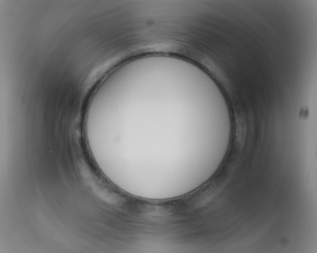 X0000110730486200907022113