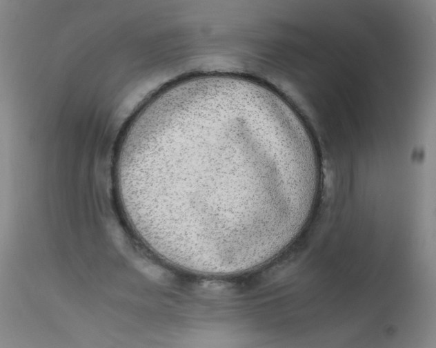 X0000110730487200907022113