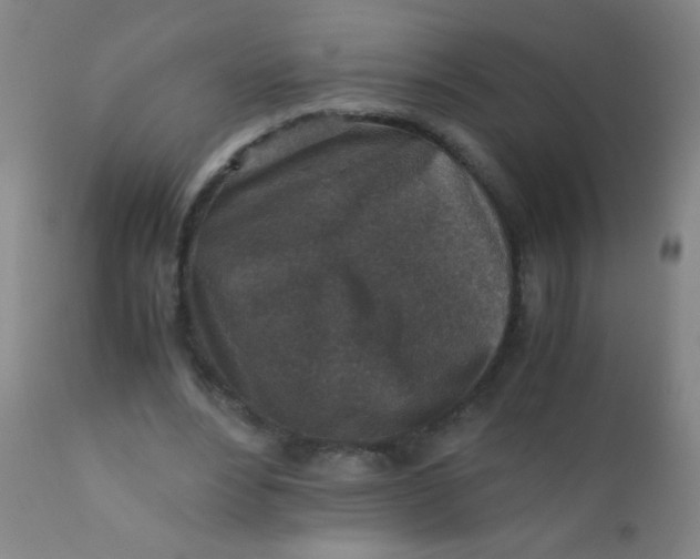 X0000110730488200907022113