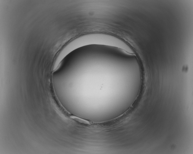 X0000110730489200907022113