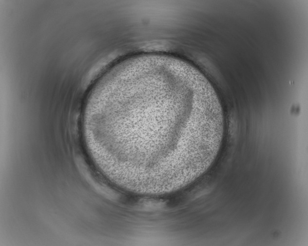 X0000110730491200907022113