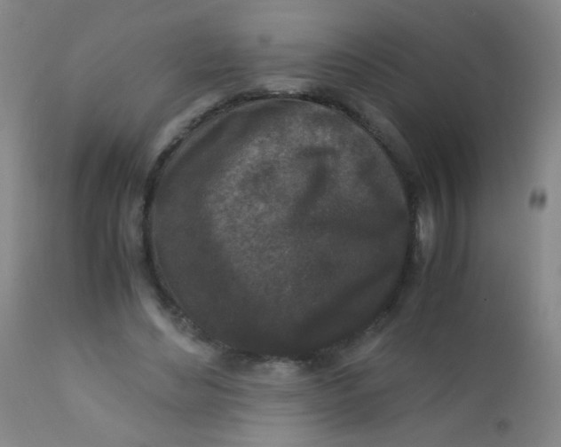 X0000110730492200907022113