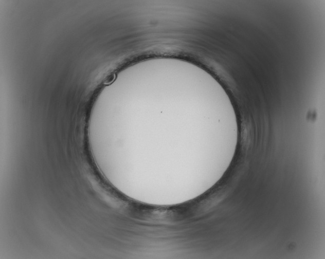 X0000110730493200907022113