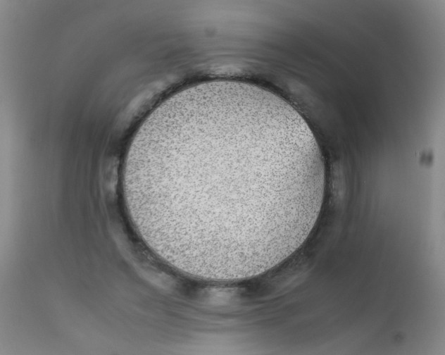 X0000110730495200907022113