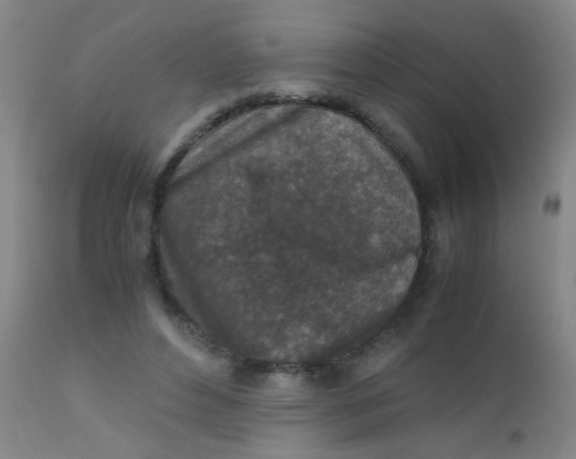 X0000110730496200907022113