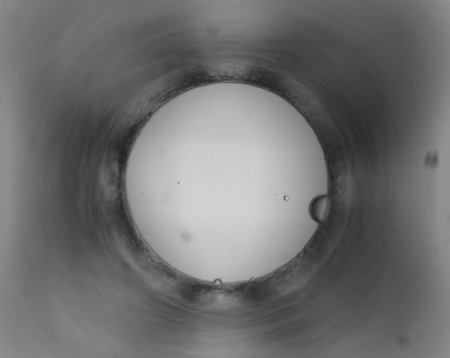 X0000110730498200907022113