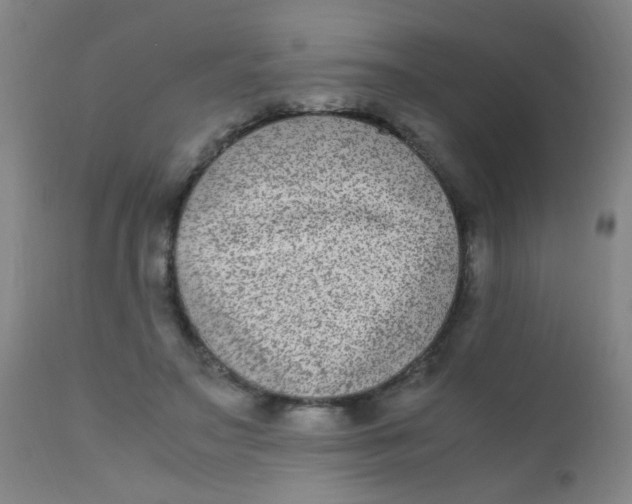 X0000110730499200907022113