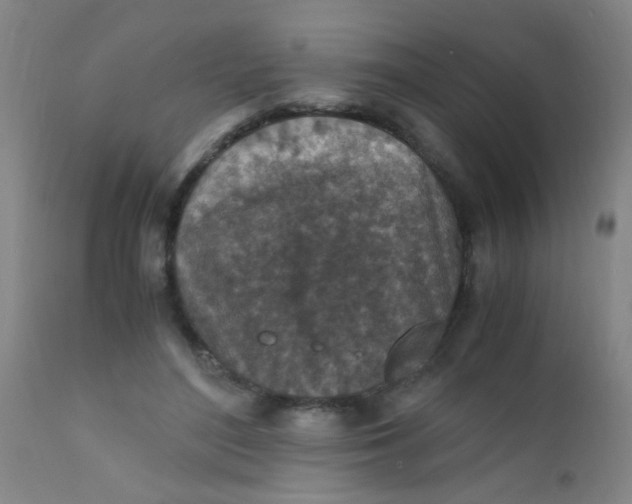 X0000110730500200907022113