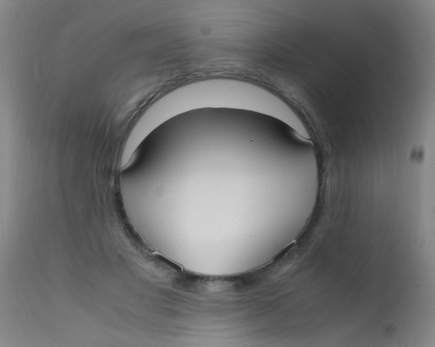 X0000110730501200907022113