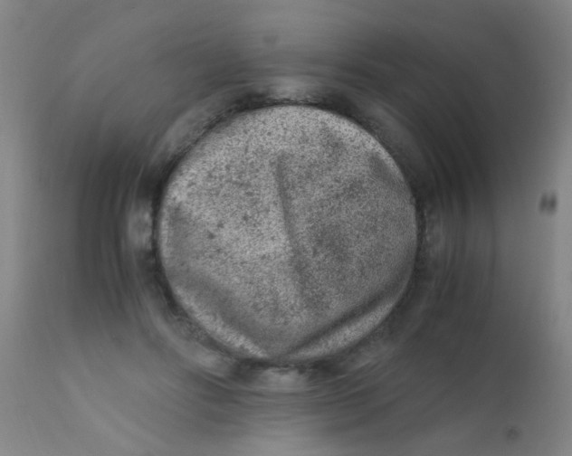 X0000110730502200907022113