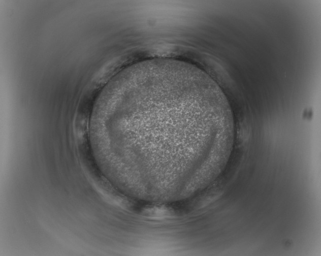 X0000110730503200907022113