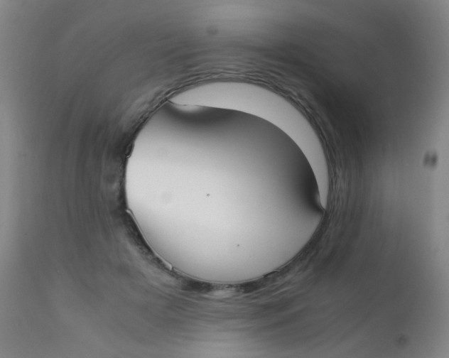 X0000110730505200907022113