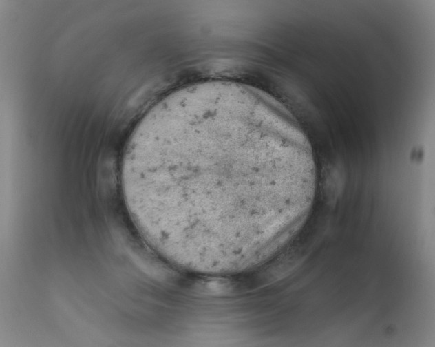 X0000110730506200907022113