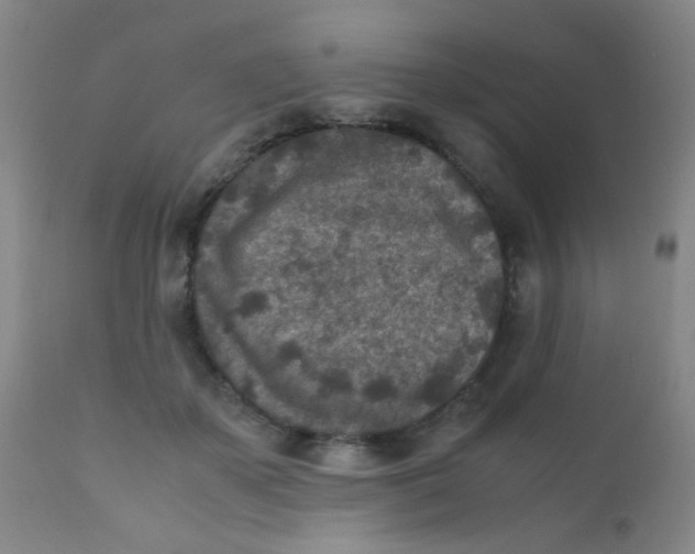 X0000110730507200907022113