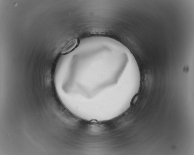 X0000110730508200907022113