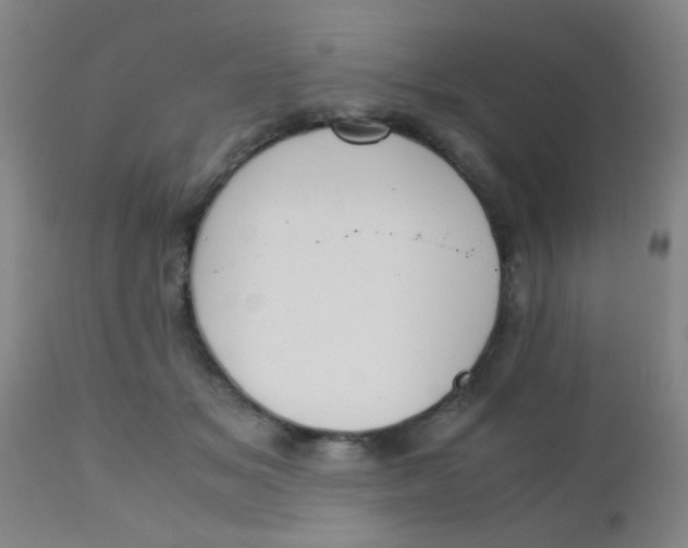 X0000110730509200907022113