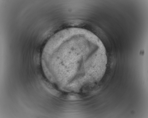 X0000110730510200907022113