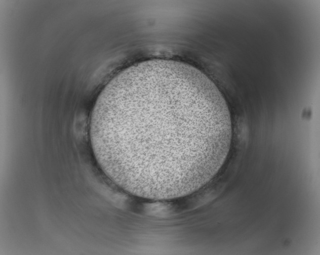 X0000110730511200907022113