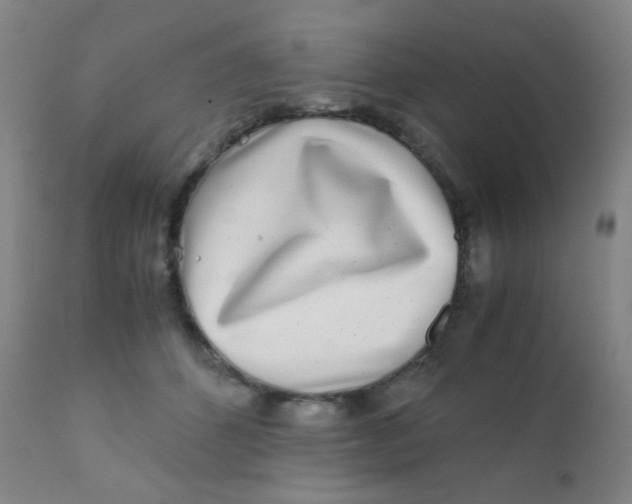 X0000110730512200907022113