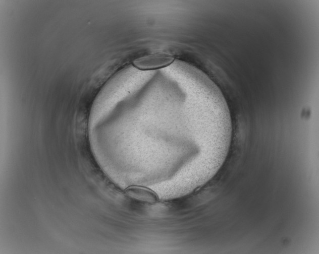 X0000110730513200907022113