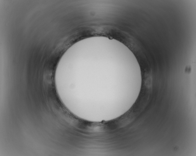 X0000110730514200907022113