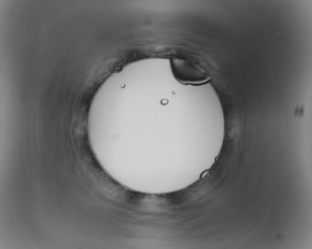 X0000110730515200907022113