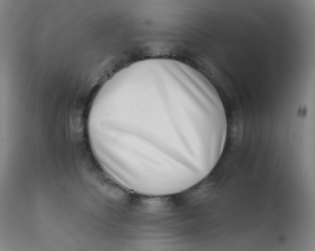 X0000110730516200907022113