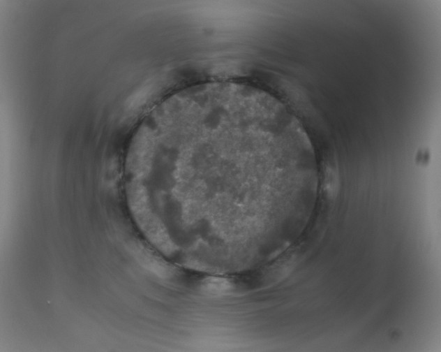 X0000110730519200907022113