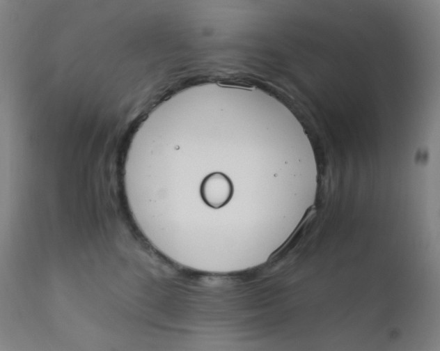 X0000110730520200907022113