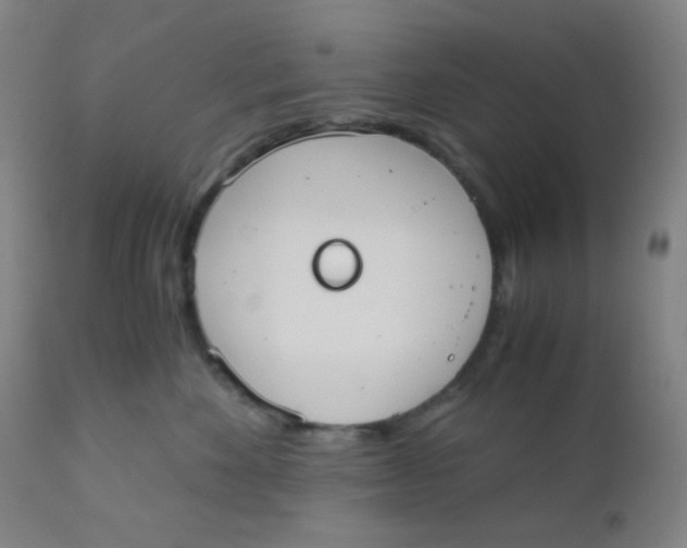 X0000110730524200907022113