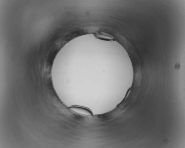 X0000110730525200907022113