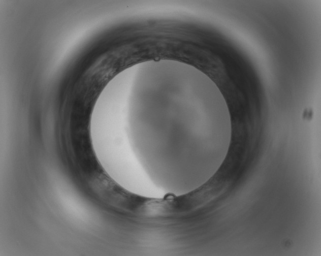 X0000110730526200907022113