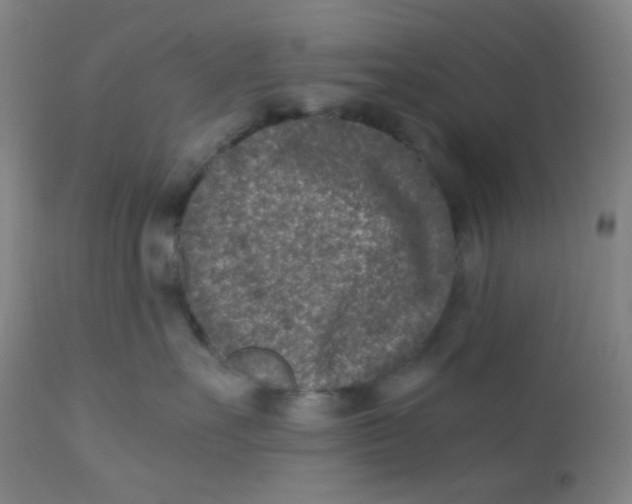 X0000110730527200907022113