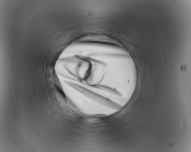 X0000110730528200907022113