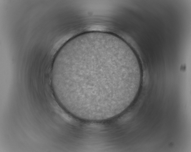 X0000110730529200907022112