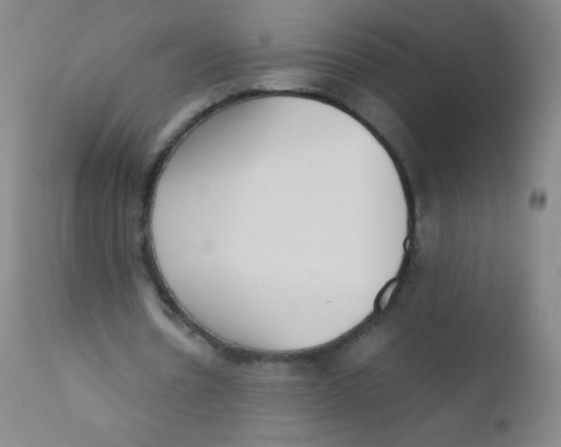 X0000110730530200907022112