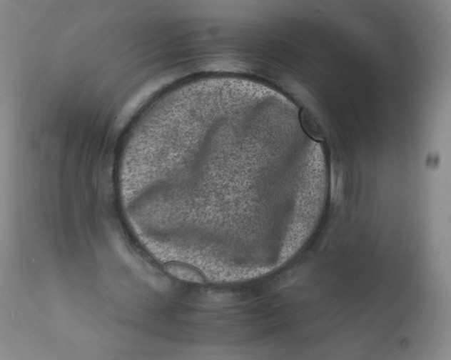 X0000110730531200907022112